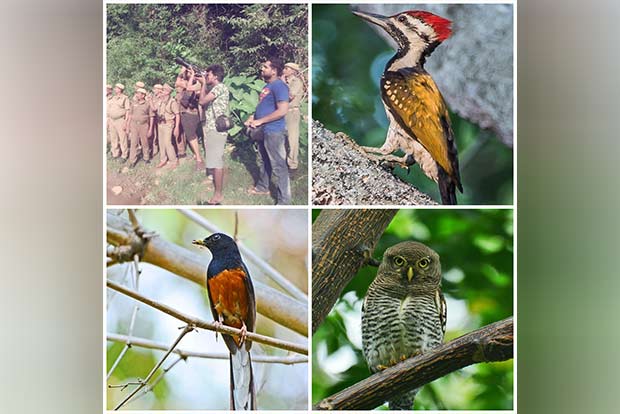 Surprise delight: In a first, colourful feathers decorate Vellore’s Amirthi forest Surprise delight: In a first, colourful feathers decorate Vellore’s Amirthi forest