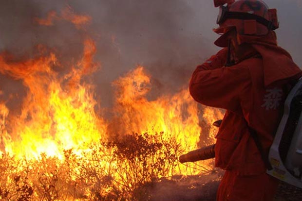 30 dead in major China forest fire 30 dead in major China forest fire