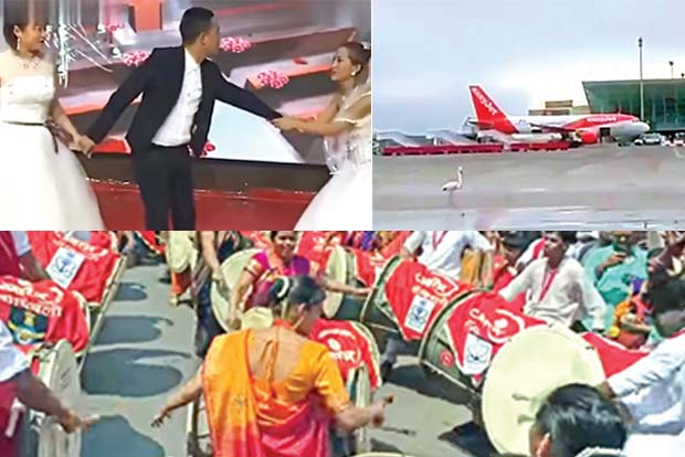 Trending in TN: Woman crashes exs wedding, flamingo holds up a plane, Mumbaikars play desi version of GoT theme Trending in TN: Woman crashes exs wedding, flamingo holds up a plane, Mumbaikars play desi version of GoT theme