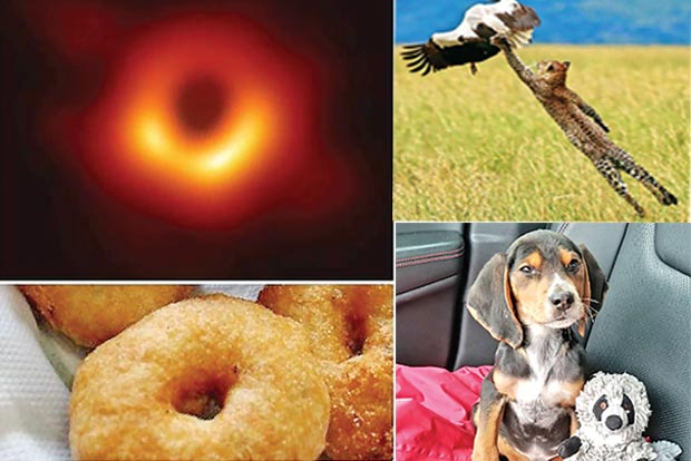 Trending in TN: Photo of black hole inspires meme creators, Amazing dismissal of Kedhar Jadhav by Ben Stokes, Cat Person finds puppy in a ditch and adopts him Trending in TN: Photo of black hole inspires meme creators, Amazing dismissal of Kedhar Jadhav by Ben Stokes, Cat Person finds puppy in a ditch and adopts him