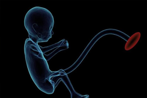 Abortion meds sold in place of ‘banned’ morning-after pills