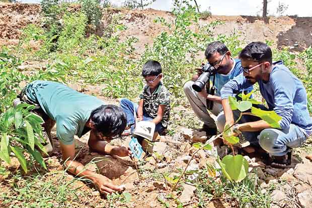 Kovai CUBE volunteers record 26 species in first ever ant survey