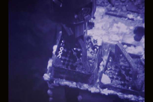 Fukushima melted fuel removal begins 2021, end state unknown