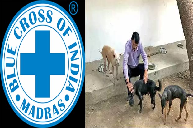 Blue Cross to have interactive call system