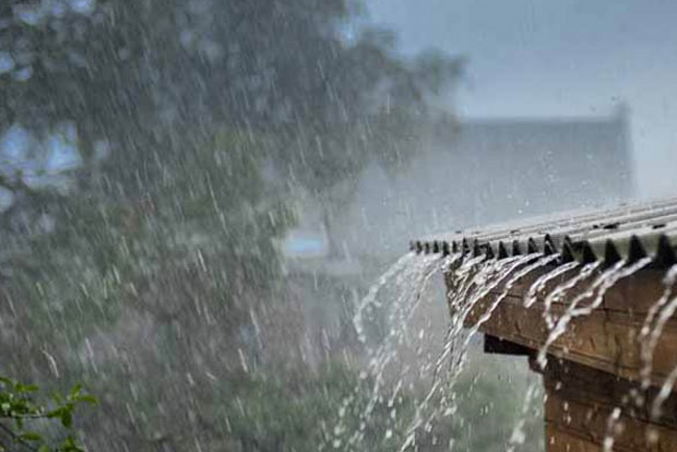 TN records 11 per cent excess rainfall at 40.3 cm