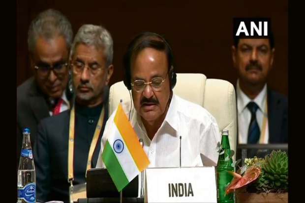 World Disability Day should be renamed Day of Persons With Special Ability: Vice-Prez