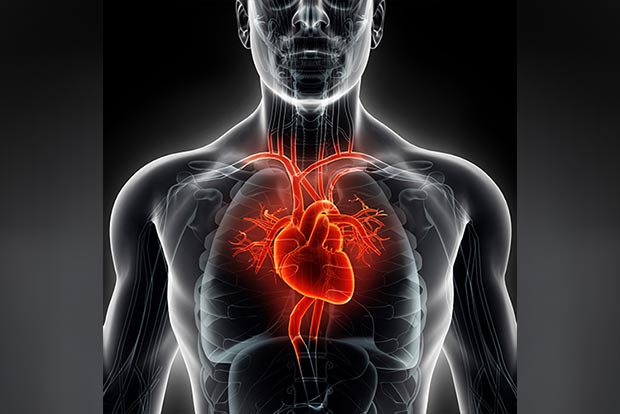 Kids born of diabetic mothers at heart risk: Study