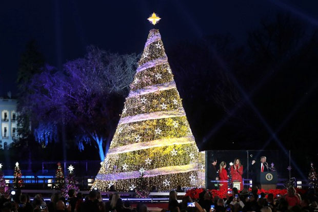Trump, First Lady take part in National Christmas Tree lighting Trump, First Lady take part in National Christmas Tree lighting