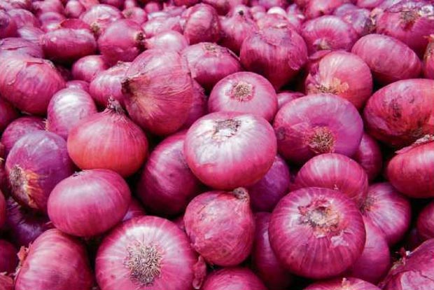 High onion prices pare Goa tourist arrivals: Minister