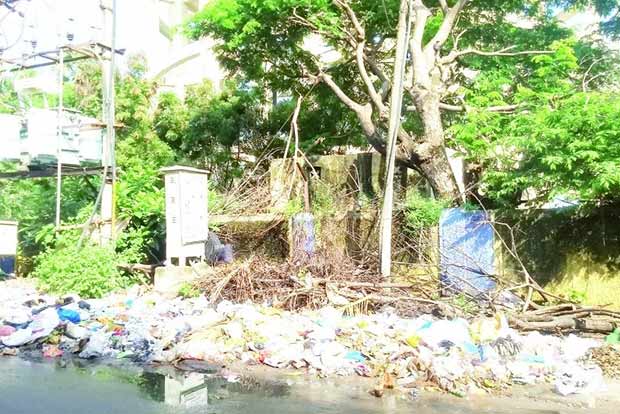 Citizen Connect: Sans garbage bins, Panneer Nagar locals exposed to health risks