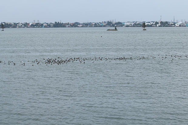 Increased storage level in four major lakes to help water supply till Oct