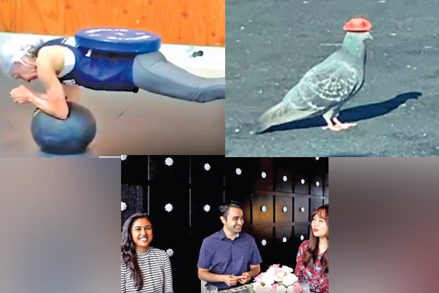 Trending in TN: Septuagenarian fitness freak, Cowboy pigeon, ties between Tamil and Korean