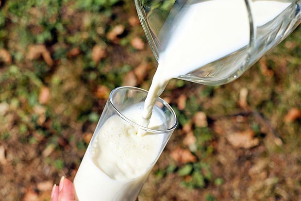 Milk prices hiked by Rs 2 per litre in Maharashtra Milk prices hiked by Rs 2 per litre in Maharashtra