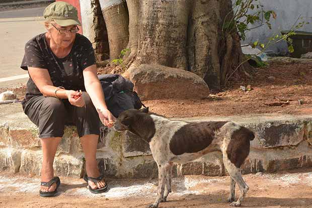 British veterinary nurse’s ‘pet project’ in Mahabalipuram