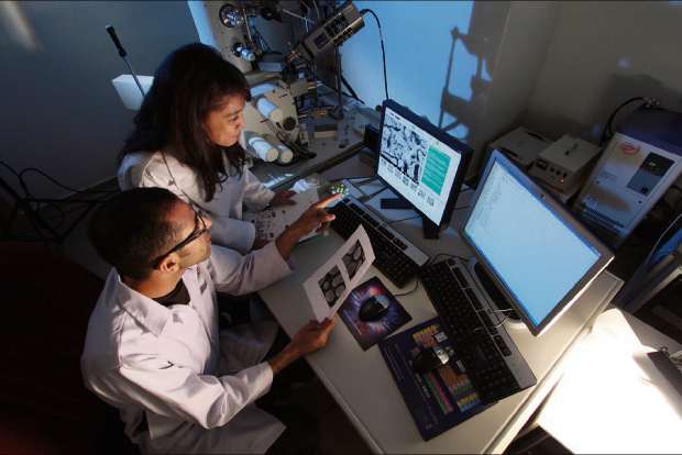 Male researchers call their work novel more often than women