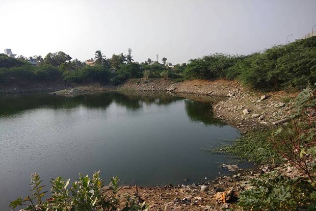 Well in the middle of the lake: Karunguli locals face health risks due to bad drinking water Well in the middle of the lake: Karunguli locals face health risks due to bad drinking water