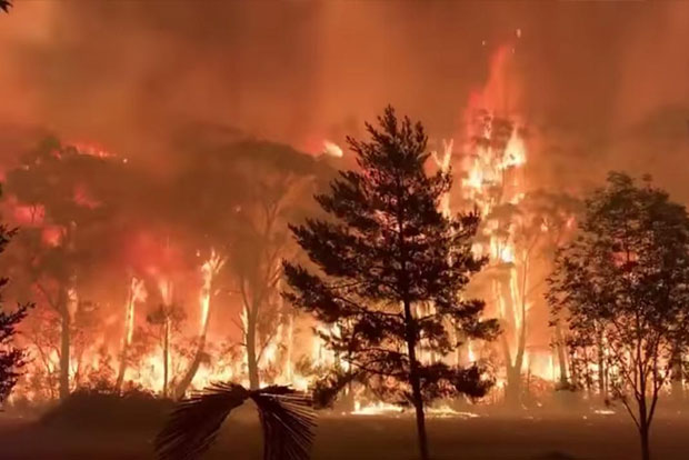 Australian state declares state of emergency over bushfires