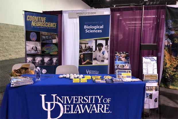 India should cut reliance on rice for sustainable food supply: University of Delaware