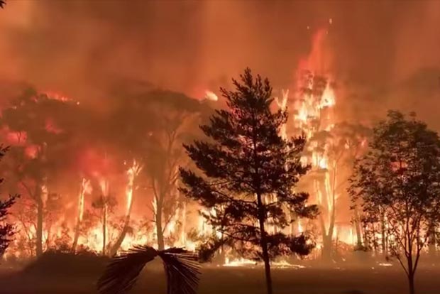 2 Aussie firefighters killed while battling bushfires