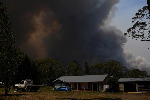 Aussie bushfires destroy 100 houses, decimate towns