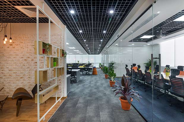 The co-working phenomenon is here to stay and grow