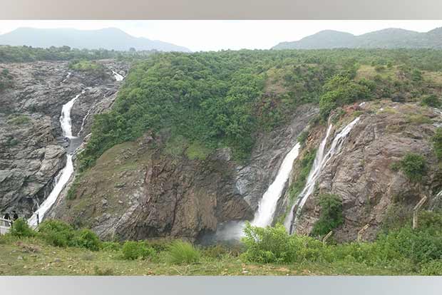 Plan your weekend: A hilly terrain known for its diverse species