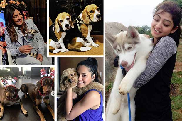 Pawsome Pets: Insta-famous pooches of Indian celebrities Pawsome Pets: Insta-famous pooches of Indian celebrities
