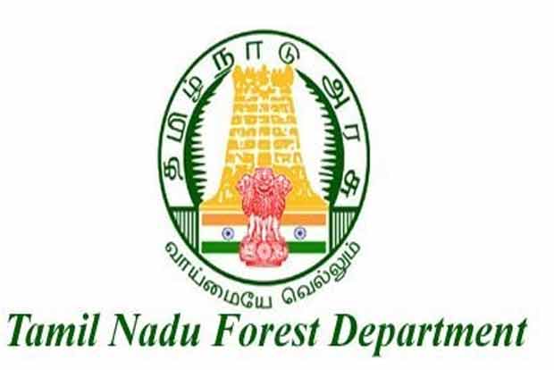 Bear trapped in Kotagiri released into forest Bear trapped in Kotagiri released into forest