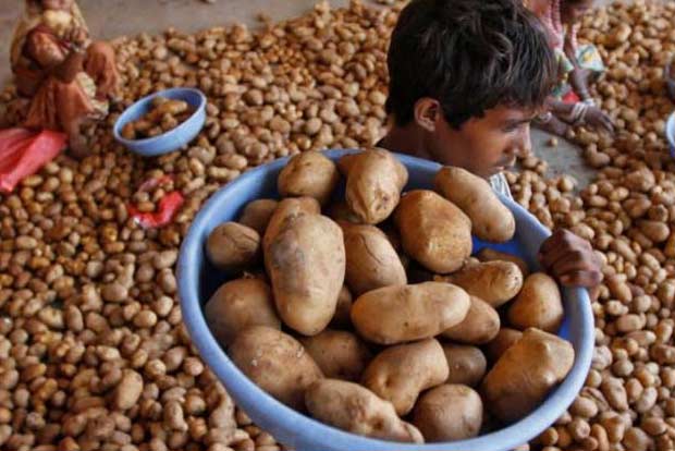 PepsiCo withdraws one of 3 lawsuits filed against Gujarat farmers