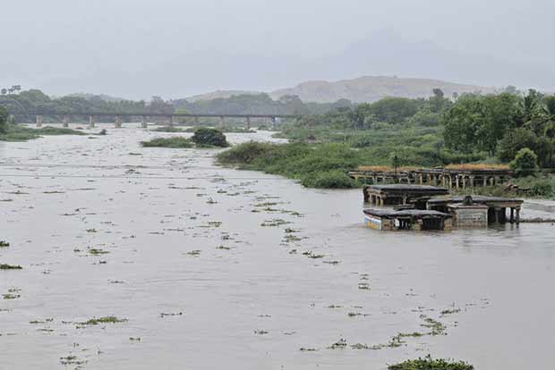 Thamirabarani river faces depletion, no rainfall could aggravate crisis