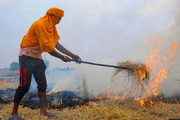 Bengal looks at alternatives after banning stubble burning