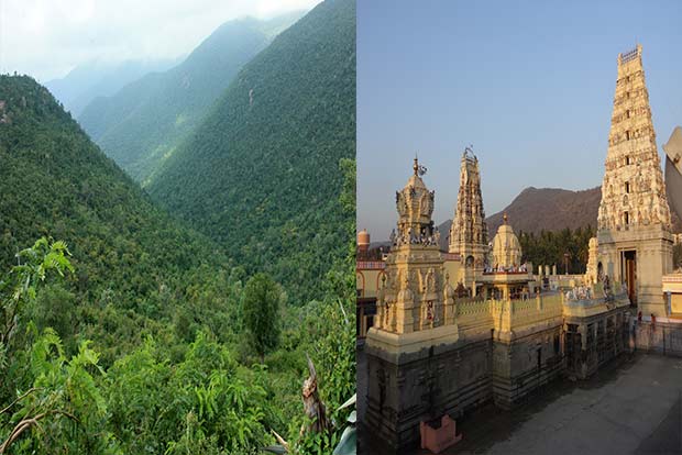 Plan Your Weekend: Trek to meet Lord Shiva at MM Hills in Karnataka