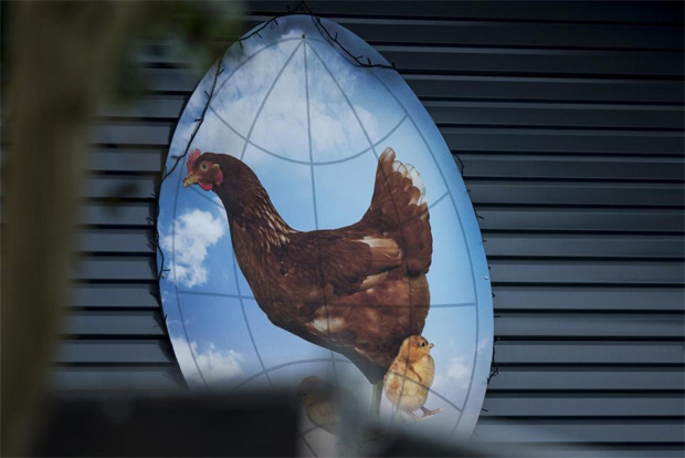 Dutch poultry industry to share expertise with India