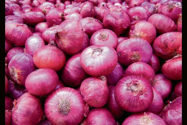 Govt allows export of Bangalore rose onion until Nov 30