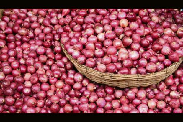 Sale of onion, pulses to continue from buffer stock: Govt Sale of onion, pulses to continue from buffer stock: Govt