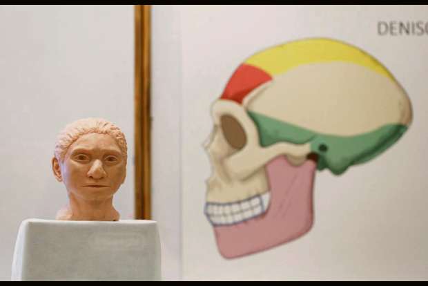 Scientists reconstruct skeleton of elusive, pre-historic human Scientists reconstruct skeleton of elusive, pre-historic human