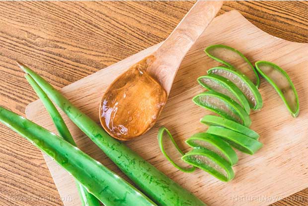 Beauty Mantra: Easy DIY eye masks that will get rid of your dark circles