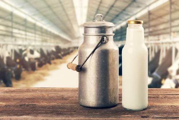 Karnataka CM distributes free milk to urban poor Karnataka CM distributes free milk to urban poor