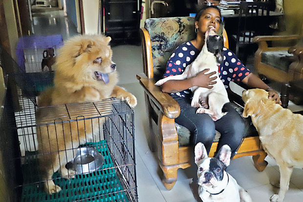 No vaccination, no food, pet owners have reasons to worry No vaccination, no food, pet owners have reasons to worry