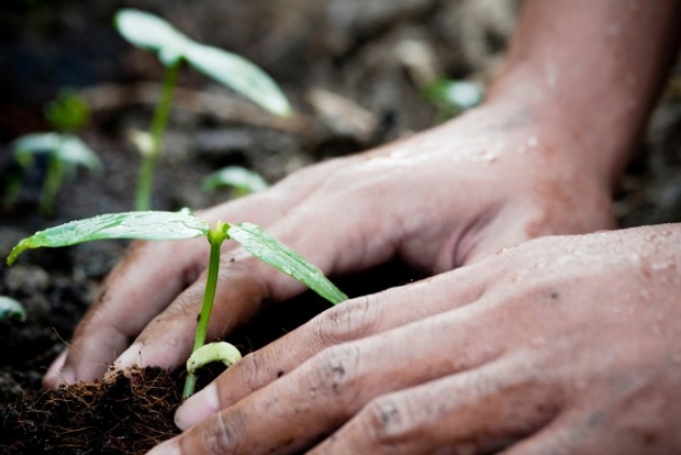 Gardening helps grow positive body image too