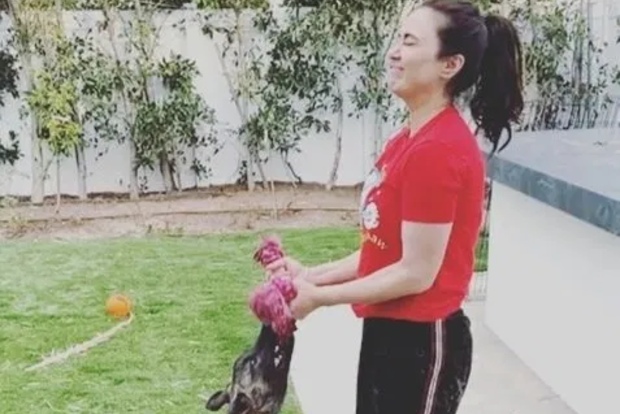 Preity Zinta uses pet pup Bruno as weight in funny workout video