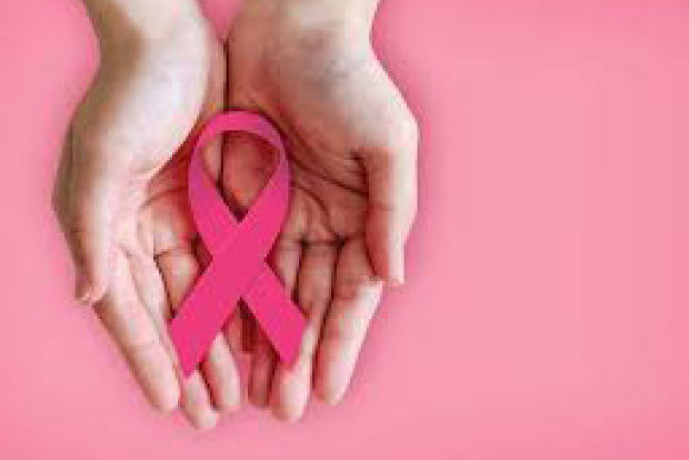 Eat fiber-rich food daily to cut breast cancer risk Eat fiber-rich food daily to cut breast cancer risk