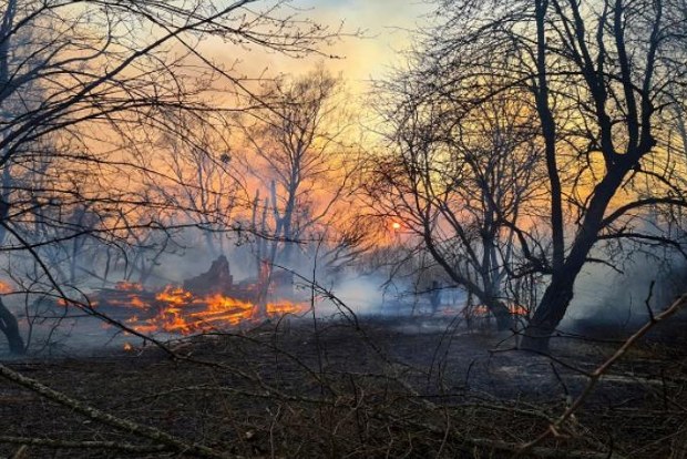Forest fire near Chernobyl n-plant spikes radiation levels Forest fire near Chernobyl n-plant spikes radiation levels
