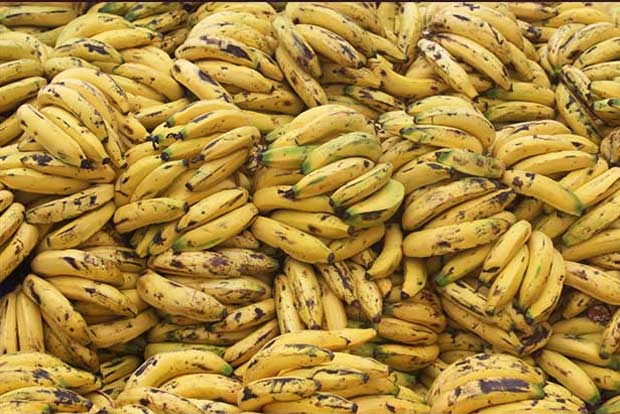 UP fruit vendor held for licking bananas before selling them