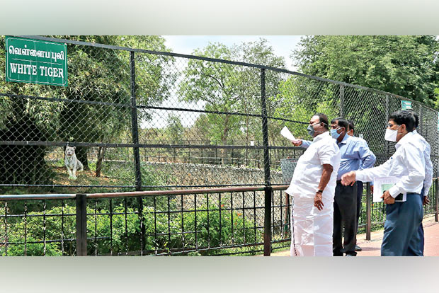 Vandalur zoo gets nod for 3 zoonotic infections studies