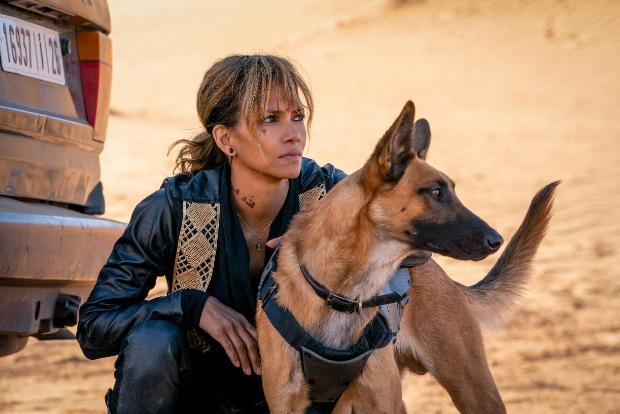 Halle Berry did John Wick 3 to kick ageism in the face Halle Berry did John Wick 3 to kick ageism in the face