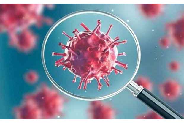 Herd immunity under question as Korea says cleared corona patients testing positive again