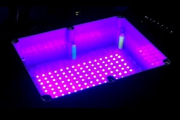 UV LEDs to disinfect surfaces against coronavirus: Study UV LEDs to disinfect surfaces against coronavirus: Study