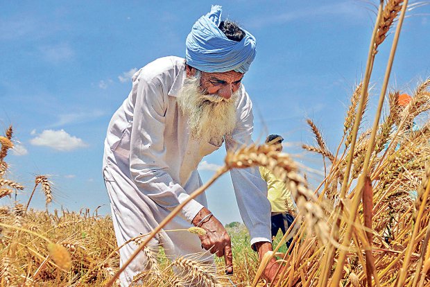 Glimmer of hope for villages, workers from today Glimmer of hope for villages, workers from today