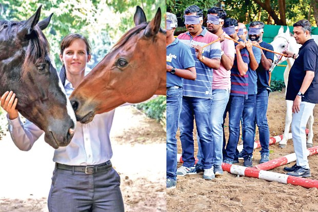 Horses lead the way in this virtual training session